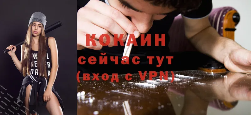 Cocaine Эквадор  где купить   Богучар 